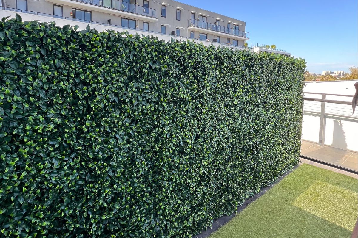 Patio Privacy Goals: Mission Accomplished