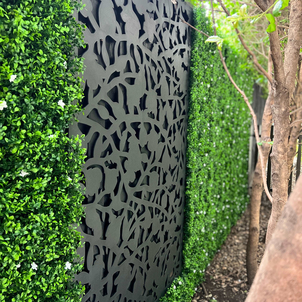 Boxwood Hedge White Jasmine Flowers