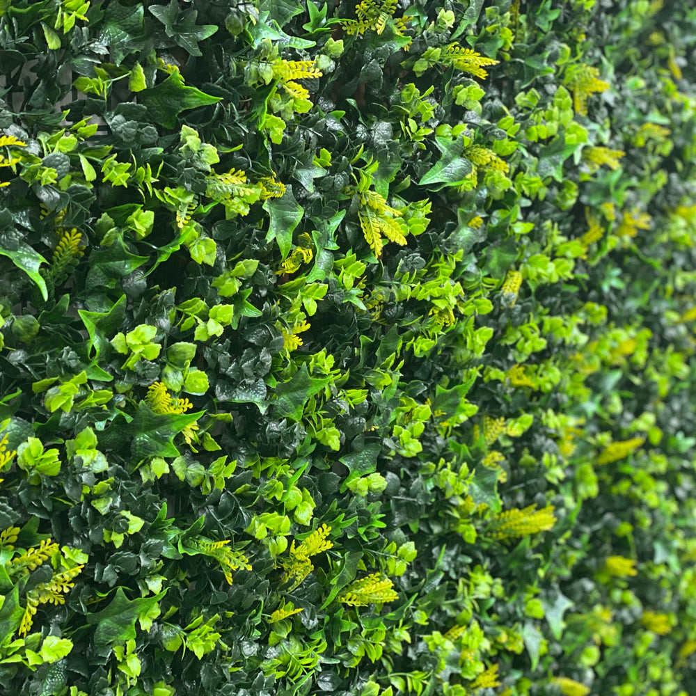 
                  
                    Spring Fern Elm and Ivy Hedge 1m x 1m panel
                  
                