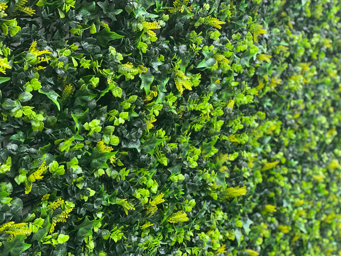 Spring Fern Elm and Ivy Hedge 1m x 1m panel